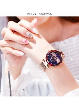 Fashion trend Swan dial magnet woman Quartz watch